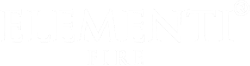 Elementi Fire